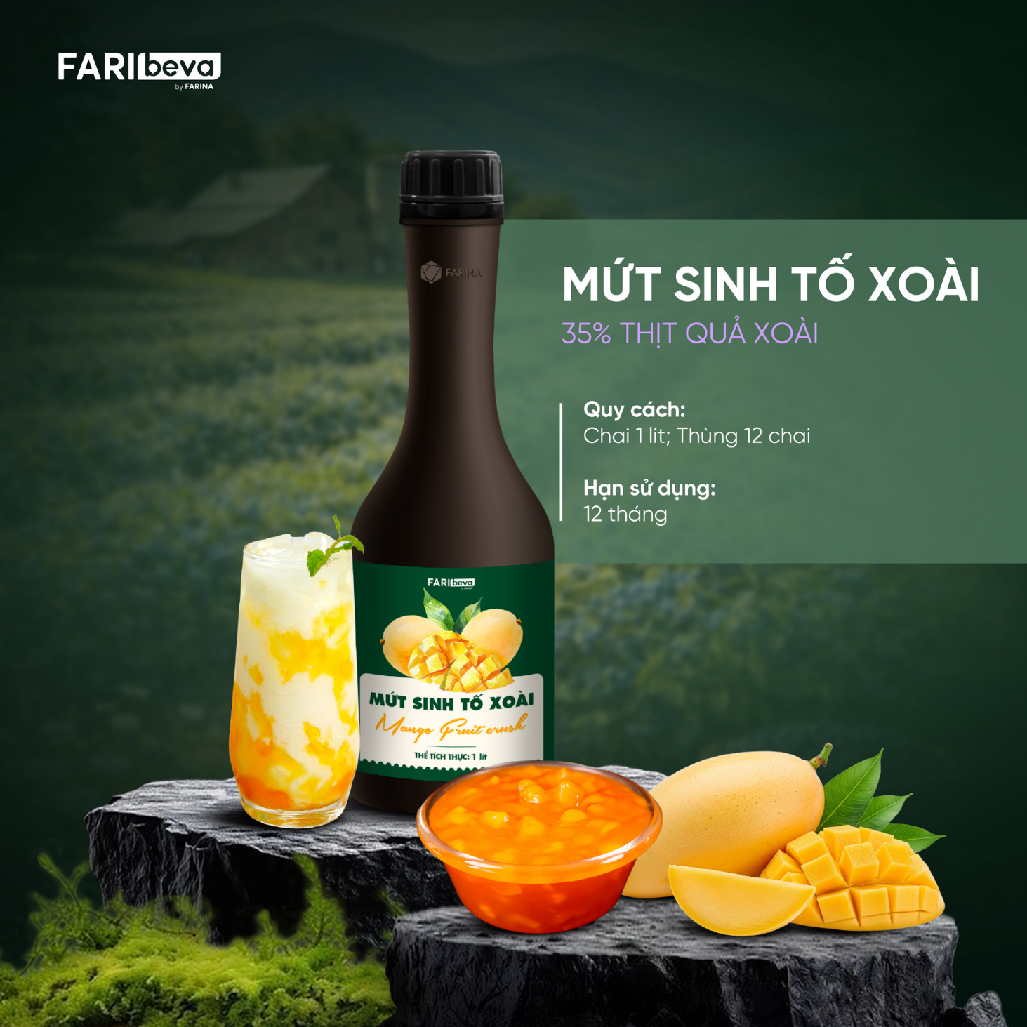 Mứt sinh tố Xoài FariBeva